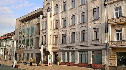 Muzeum Mazowieckie w Płocku